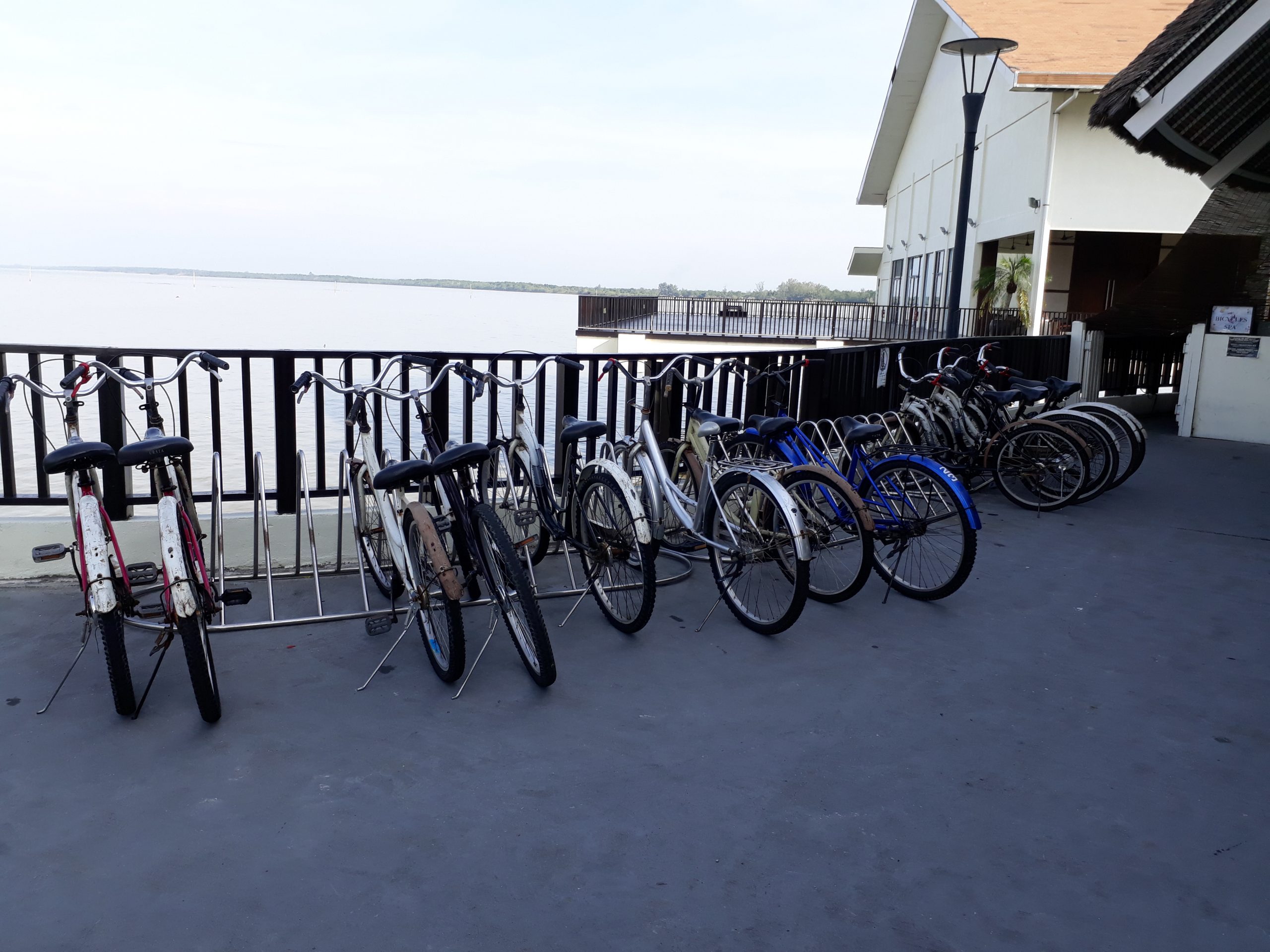 avani sepang gold coast bicycle